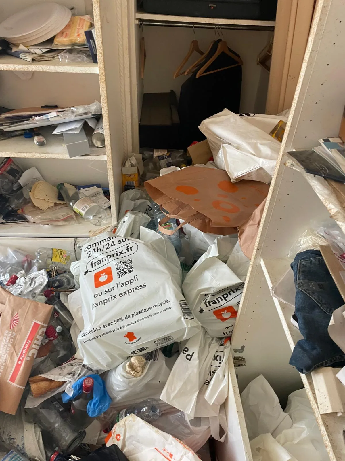 Comment gérer la présence d’animaux vivants ou morts dans un logement à remettre en état : guide pratique avec SOS DC à Noisy-le-Grand Comment gérer la présence d’animaux vivants ou morts dans un logement à remettre en état : guide pratique avec SOS DC à Noisy-le-Grand